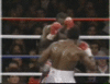 CRUSHA.COM quality and pricing will... knock you out!