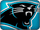 We support our home team, The Carolina Panthers!